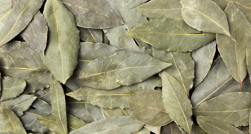 Соседка научила: для чего я теперь покупаю лавровый лист упаковками, и дело вовсе не в супе