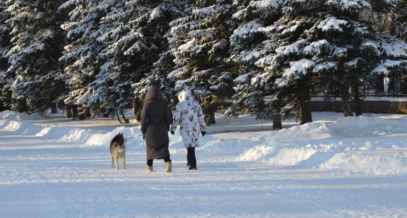 Пенсионеры в одиночестве: 5 главных причин, почему дети перестают помогать и поддерживать родителей
