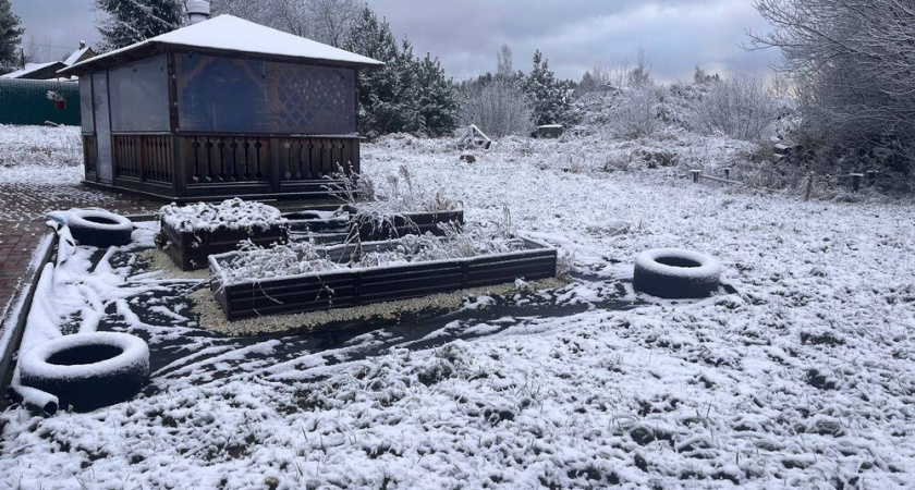 3 крупы из магазина заменяют мне тонну навоза: разбросал по снегу и весной забыл про удобрения