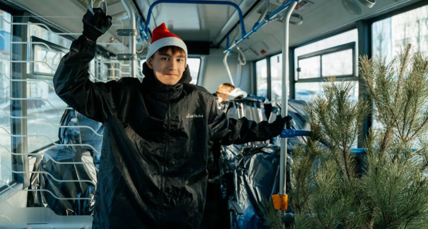 "Зелёный автобус" за один день забрал елки с 45 точек