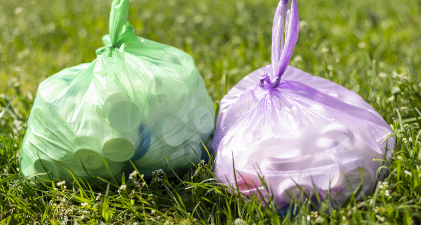 Ошибка, которую все допускают: почему нельзя использовать магазинный пакет под мусор - запомните раз и навсегда