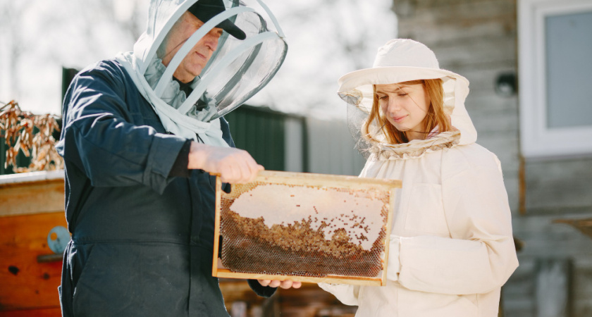 С 1 марта липецких пасечников начнут заранее предупреждать о химобработке 