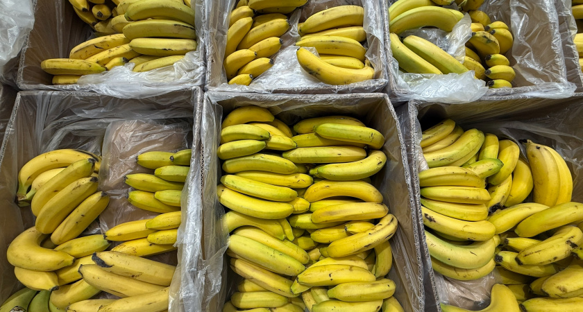Ученые поставили точку в вопросе: можно ли есть банан с черными точками на кожуре – запомните раз и навсегда