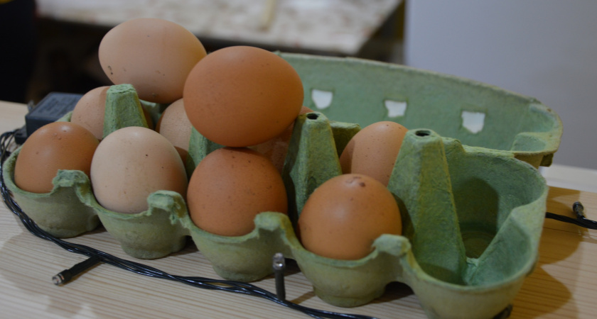 Почему работники птицефабрик обходят стороной яйца С0: принципы правильной покупки