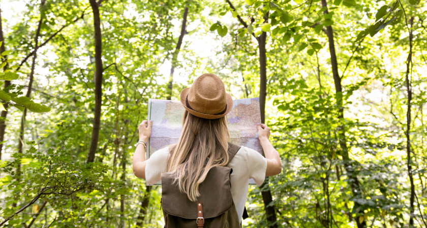 Липецкая область вошла в тройку лидеров ЦФО по «зелёному» туризму