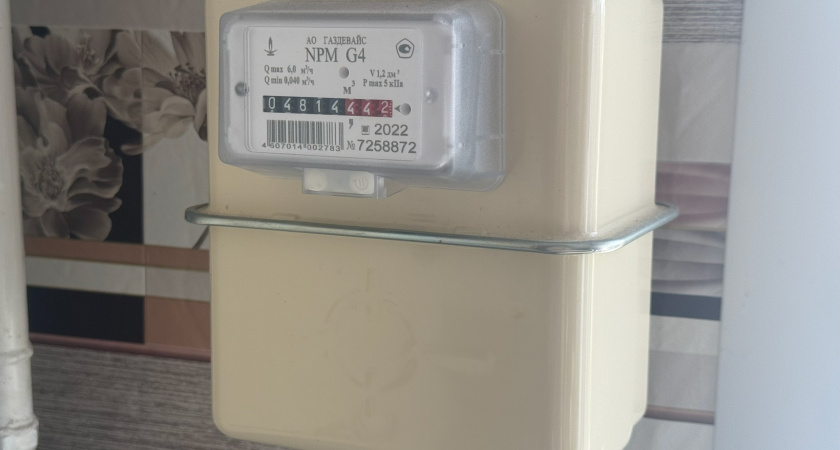 Обяжут и не спросят: собственников квартир с газом заставят ставить «умные» счетчики – что важно знать