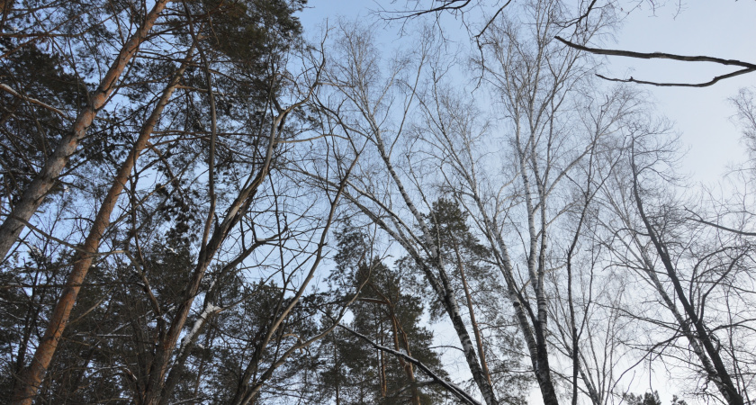 Липецкие коммунальщики переведены в режим повышенной готовности из-за снегопада