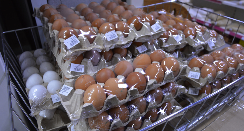 Продавцы не любят, когда покупатели это знают: как определить лучшие яйца по маркировке