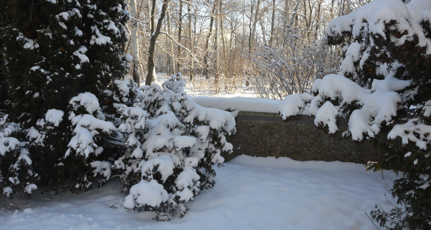 Липецкое МЧС предупредило о наступлении аномальных морозов с 1 по 5 февраля