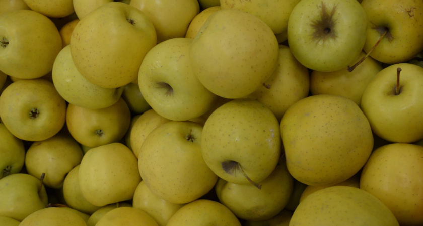 Всегда ела яблоки неправильно и теряла половину пользы: теперь знаю, как надо