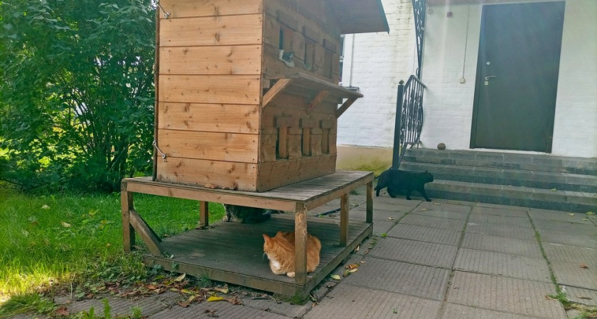 Приехала однажды и влюбилась: один из лучших бюджетных городов в России для туризма - прекрасен в любое время года