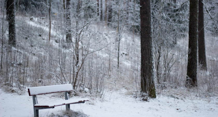Липчан предупредили о 33-градусных морозах