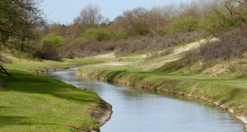 Липецкие реки обойдутся без экстремального половодья