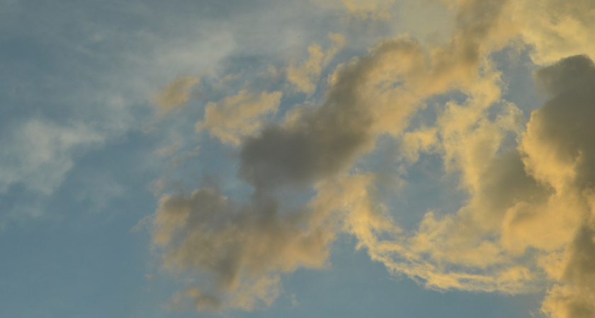 В небе над Липецкой областью уничтожили один вражеский БПЛА