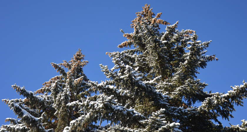 Россияне смогут отдохнуть сразу 10 дней подряд: когда длинные выходные и сокращенная рабочая неделя в феврале