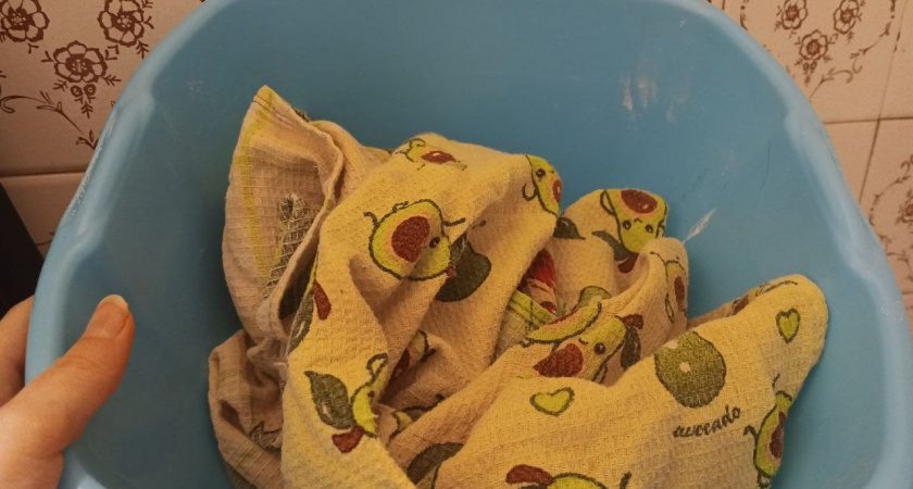 Больше не стираю кухонные полотенца: вот как чищу их за 5 минут — в пакете. Как новые и приятно пахнут