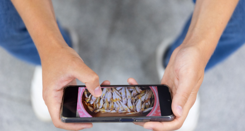 От стилуса до экрана: что чаще всего страхуют в Липецкой области 