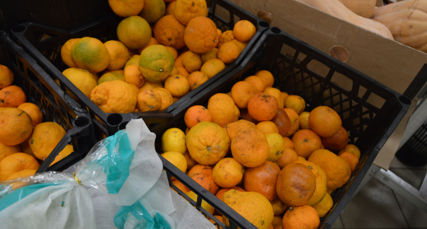 "Пусть лучше сгниют на ветке, чем уедут в Россию": вот почему у нас не продают качественные мандарины