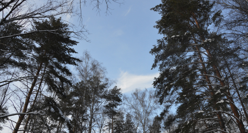 Над Липецкой областью силы ПВО сбили беспилотник