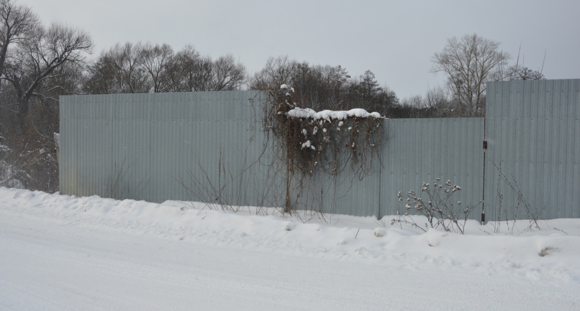 15 февраля в Липецкой области ожидается мокрый снег и до +3