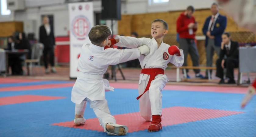 Липецкие каратисты взяли 77 медалей на турнире ЦФО в Воронеже