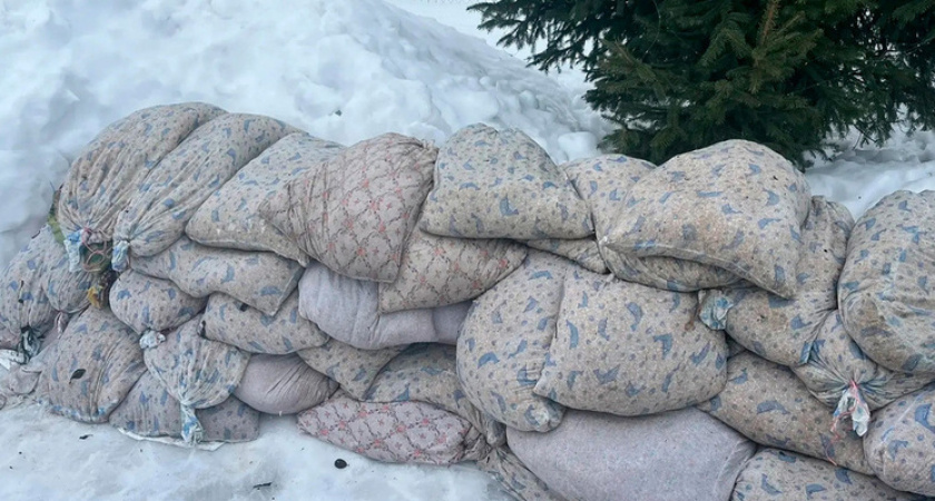 Липецкий лесхоз начал закладку семян на стратификацию