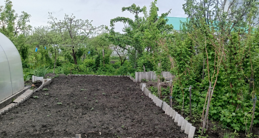 Почему в деревнях резко перестали сажать огороды - вот в чем главная причина, о которой молчат
