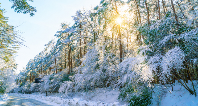 Синоптики пообещали липчанам февральское потепление