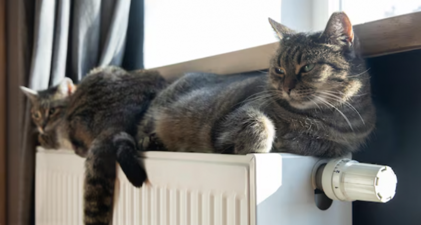 Прокуроры взялись за управляющие компании после неоднократных жалоб липчан