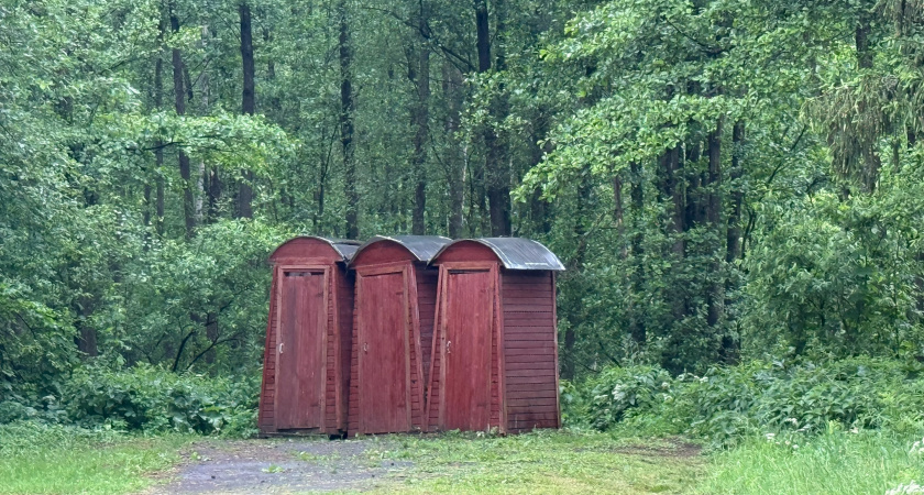 Что засыпать в дачный туалет, чтобы избавиться от запаха: топ лучших средств – использую только их