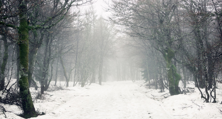 Липчан предупредили о тумане и гололеде на дорогах