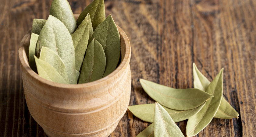 Зажигаю лавровый лист в квартире и забываю о проблемах — метод, о котором мало кто знает