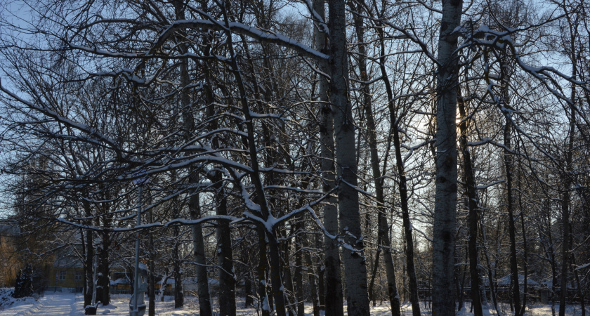 Февральская весна и майское лето: ученые назвали новые климатические нормы