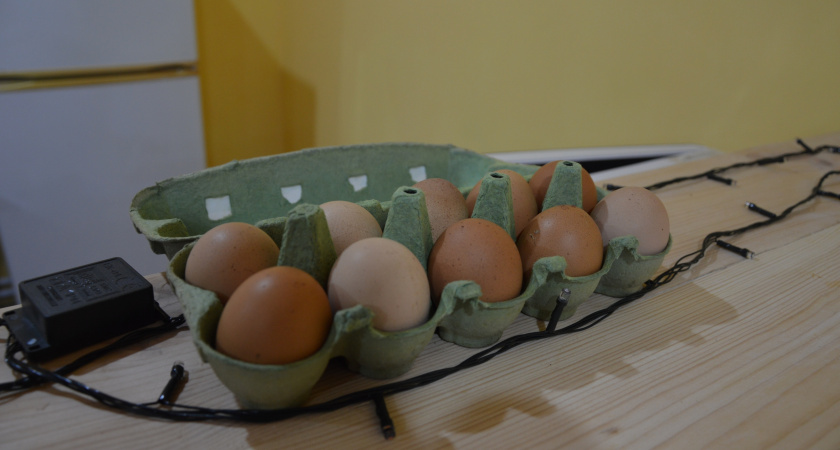 Обходят за версту: вот почему сотрудники магазинов и птицефабрик никогда не покупают яйца категории С0 даже по акции