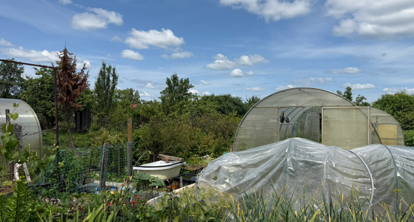 Пленка и поликарбонат давно не в тренде: сейчас все предпочитают для теплиц этот вариант — куда надежнее и удобнее