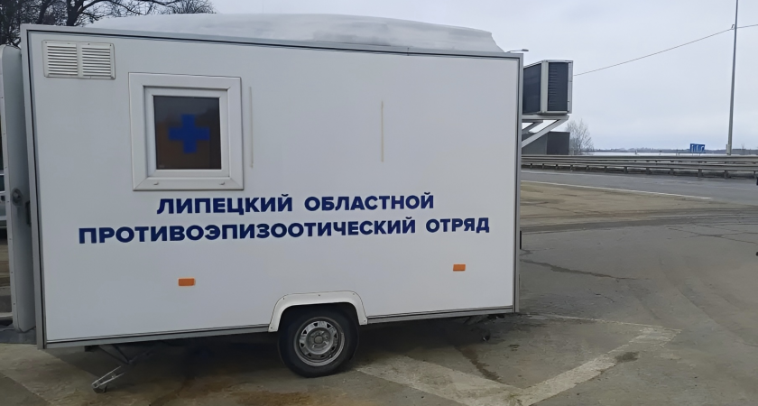 На липецких трассах заработали посты проверки животных и сельхозпродукции