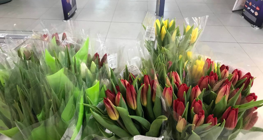 Как отдыхаем в марте-2026: выгодно ли взять отпуск