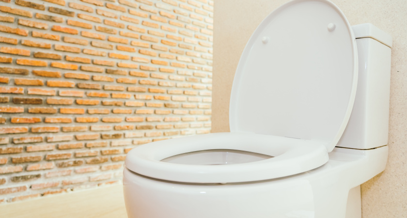 Почему нужно солить унитаз: не бред, а полезный лайфхак — запомните на всю жизнь