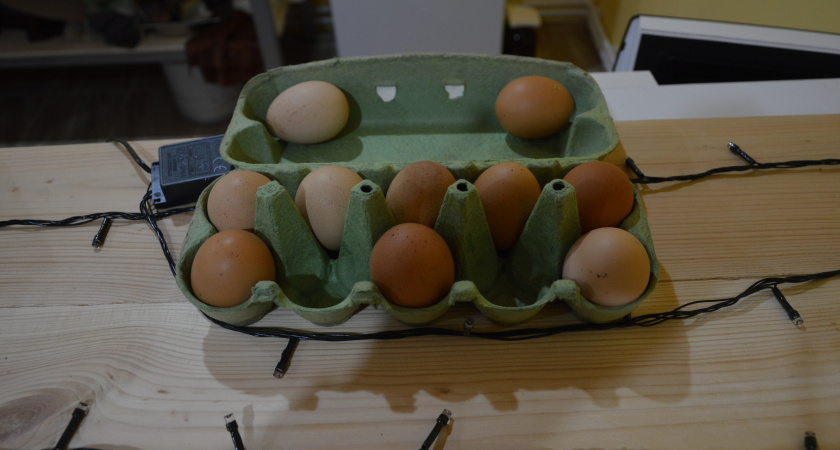 Вареные яйца нельзя класть в холодную воду - запомните раз и навсегда. Вот как правильно