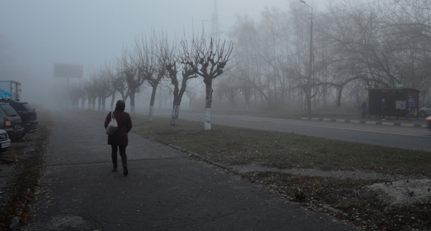 Нужны ли друзья после 50: мудрая мысль Натальи Бехтеревой, которая меняет взгляд на жизнь