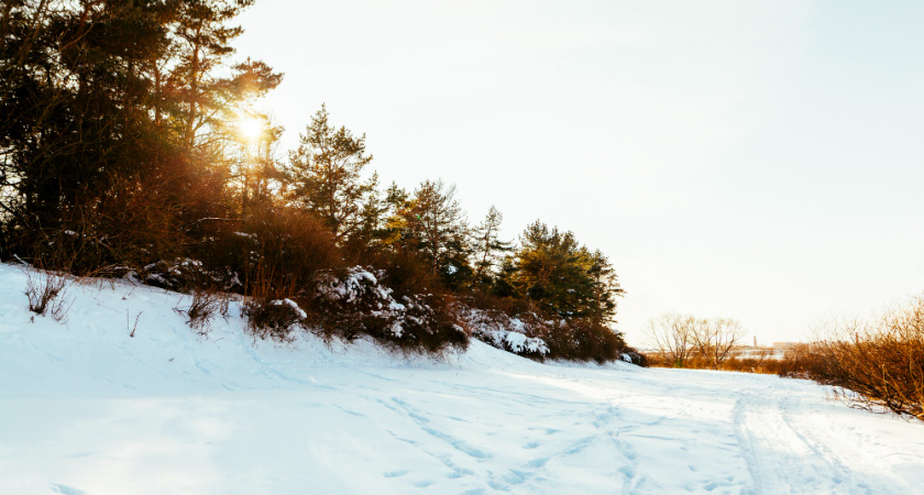 В Липецкой области выпадет снег перед резким потеплением