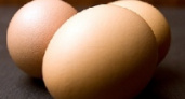 Санитарные врачи забраковали крупную партию яиц