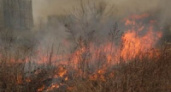 Пожарные 11 раз тушили траву