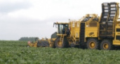 В Липецкой области началась уборка сахарной свеклы