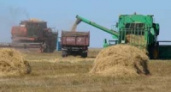 В Липецкой области собрали миллион тонн зерна 