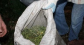 В руки наркополиции попали два мешка марихуаны 