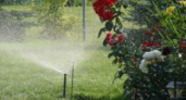 В Липецке введут ответственность за дневной полив огородов из шлангов