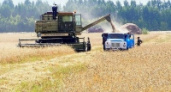 В Липецкой области уборка с полей в самом разгаре