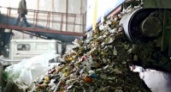ЭкоПром: Липецку требуется мусоросжигательный завод
