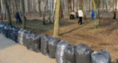 В пятницу состоится общегородской субботник